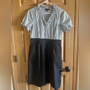 The Limited Shirt Dress